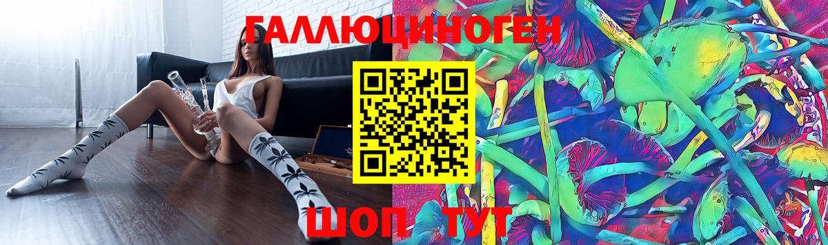 Псилоцибиновые грибы Psilocybine cubensis  Вход с VPN  Владивосток 